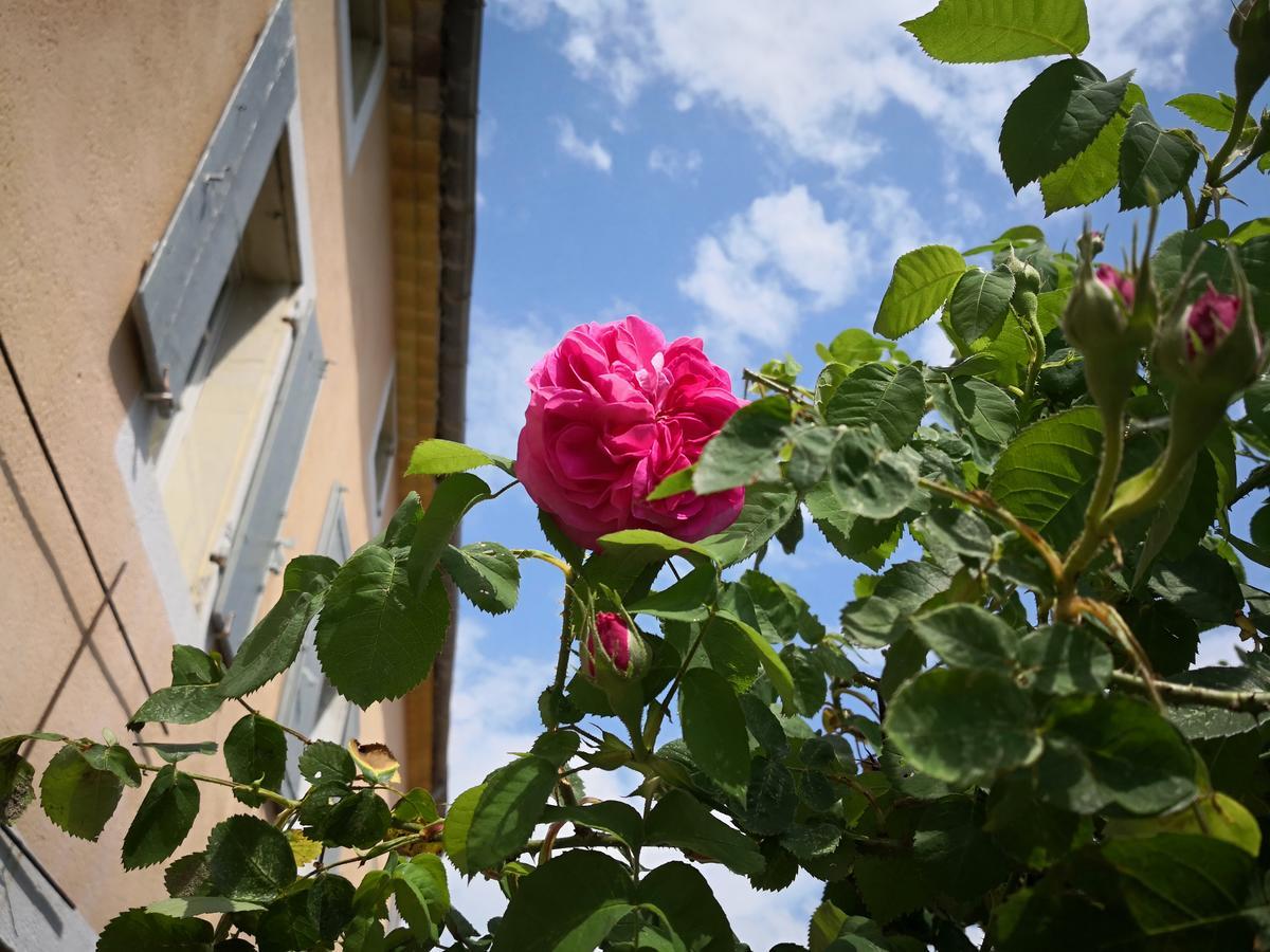 Maison D'Anvers Valréas Dış mekan fotoğraf